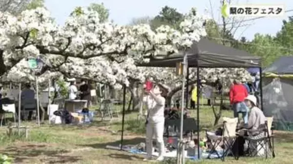 梨の花フェスタ