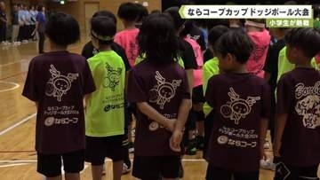 小学生が熱戦　ならコープカップドッジボール大会