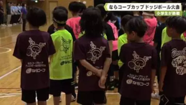 小学生が熱戦　ならコープカップドッジボール大会