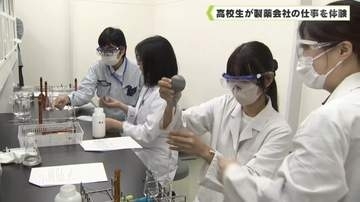 高校生が製薬会社の仕事を体験