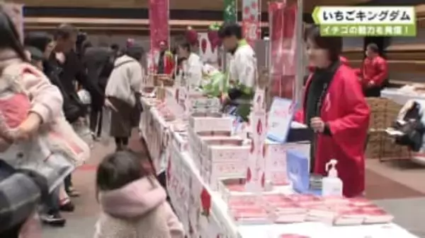 イチゴの魅力を発信！　いちごキングダム