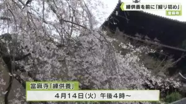 「當麻寺　練供養を前に「練り初め」」の画像