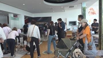 奈良スバル　小さな命を守る　保護犬譲渡会