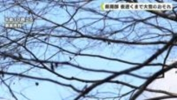 県南部　夜遅くまで大雪のおそれ