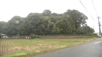 桜井市ウォーキングフェスティバル