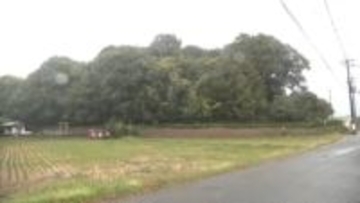 桜井市ウォーキングフェスティバル