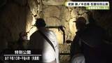 「史跡・藤ノ木古墳の石室特別公開　金銅製馬具など出土」の画像1