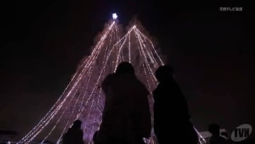 メタセコイアを飾る　三宅町に高さ３０ｍのクリスマスツリー