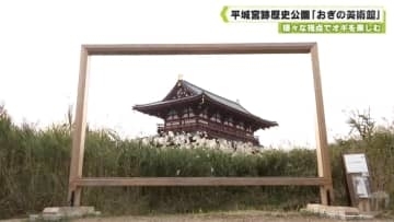 様々な視点でオギを楽しむ　平城宮跡歴史公園「おぎの美術館」