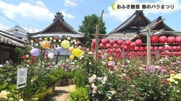 おふさ観音　春のバラまつり