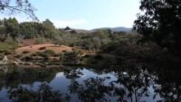 名勝・依水園で冬支度