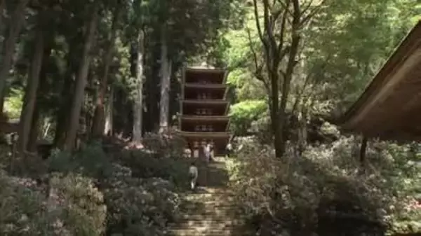 国宝・五重塔などの屋根修復へ　室生寺　クラウドファンディングで資金募る