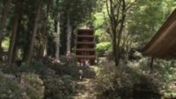 国宝・五重塔などの屋根修復へ　室生寺　クラウドファンディングで資金募る