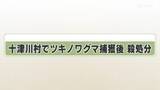 「十津川村でツキノワグマ捕獲後　殺処分」の画像1