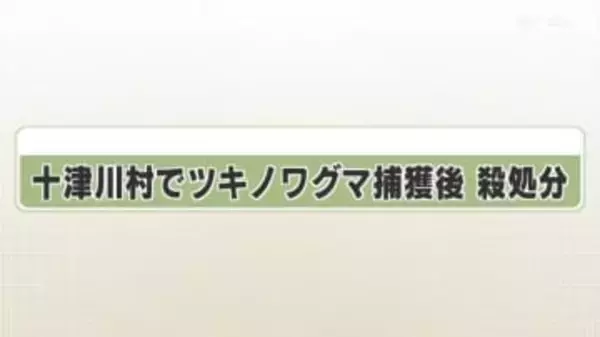 十津川村でツキノワグマ捕獲後　殺処分