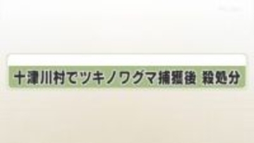 十津川村でツキノワグマ捕獲後　殺処分