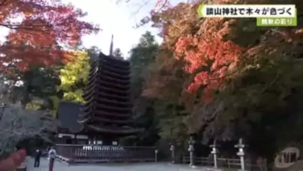 晩秋の彩り　談山神社で木々が色づく