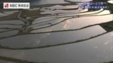 茜色に染まる「鏡」の絶景　一日わずか数十分…約400枚の棚田が織り成す造形美　長崎県松浦市「土谷棚田」【ふるさと再発見・長崎ばーどアイ】