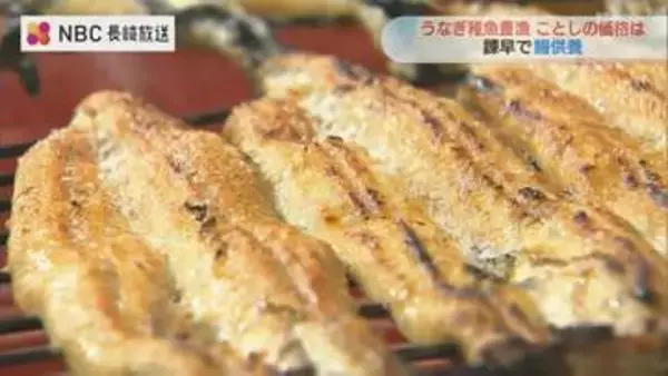 うなぎ豊漁でも物価高騰の波…県内の専門店は「価格据え置き」で勝負　土用の丑の日前に供養祭【長崎・諫早市】
