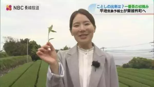 「順調に育って いいお茶がとれた」長崎県内有数の産地・東彼杵町の「そのぎ茶」一番茶の初摘みはじまる　平地気象予報士が茶畑に