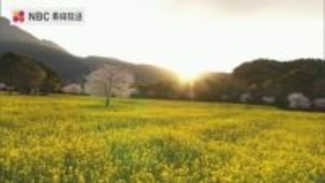 長崎ばーとアイ 2025総集編〜長崎の草花〜 四季折々の自然美【ドローン映像】