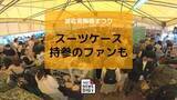 「最大5割引き！GW恒例の波佐見陶器まつり開幕 スーツケース持参のファンも…「掘り出し物」求め朝から賑わう」の画像1