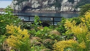 【速報】焼け跡から2人の遺体　50代・70代の親子か　五島市奈留島