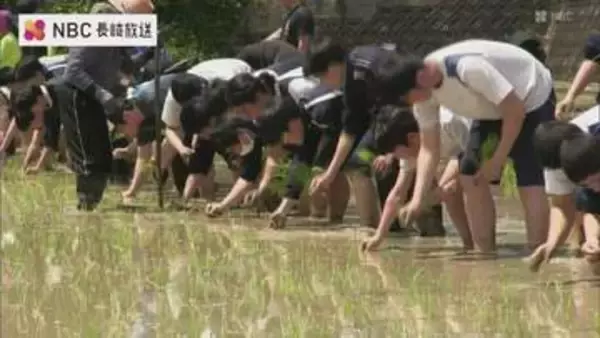 高校生が田植え体験　長崎県立五島南高校