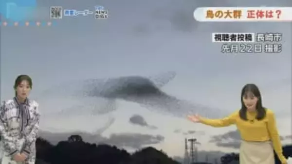 【長崎天気】あすは洗濯日和に　■視聴者投稿　鳥の大群いったい何？