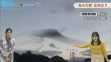 【長崎天気】あすは洗濯日和に　■視聴者投稿　鳥の大群いったい何？