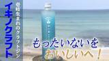 「「もったいない」が極上の香りに　麦焼酎発祥の地・壱岐で生まれたクラフトジン「イキノクラフト」の挑戦」の画像1