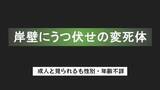 「岸壁にうつ伏せの変死体　白の半袖Tシャツ＆ズボン 　釣り人が発見」の画像1