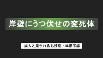 岸壁にうつ伏せの変死体　白の半袖Tシャツ＆ズボン 　釣り人が発見