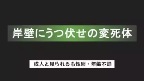 岸壁にうつ伏せの変死体　白の半袖Tシャツ＆ズボン 　釣り人が発見