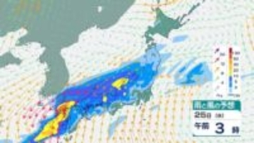 きょうは西から雨拡大　あす25日(水)は「南岸低気圧」で激しい雨の恐れ　雨風シミュレーション