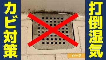 【カビ対策】梅雨のジメジメに…家電を使った換気術！カビを寄せ付けない正しい家具の配置は？再発を防ぐ除去方法とは？