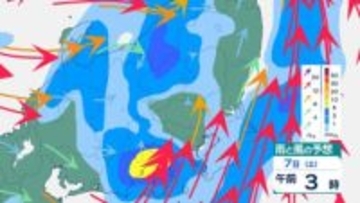 東京23区は今夜「急な雷雨・ひょう」のおそれ　落雷や突風に注意　雨風シミュレーション