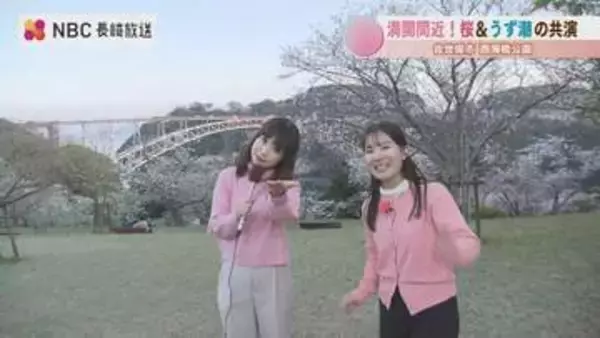 「【長崎】圧巻の”うず潮”と”桜” ダブルで満喫！西海橋公園「春のうず潮まつり」見どころを紹介」の画像