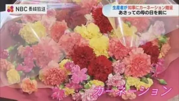 全国でも高評価の長崎県産カーネーション　母の日を前に生産者が県知事に贈呈【長崎】