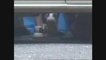 加害元少女は33歳「誰かを殺して普通に生きること」被害者兄の“重い願い”【佐世保小6同級生殺害事件・後編】