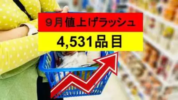 また値上げ…9月に4,531品目へ　何が上がる？ストック推奨リスト