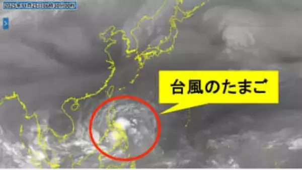 【台風情報】もうすぐ12月なのに…台風のたまご発生　25日午後にも台風に発達予想　今後の進路は？