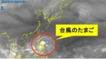 【台風情報】もうすぐ12月なのに…台風のたまご発生　25日午後にも台風に発達予想　今後の進路は？