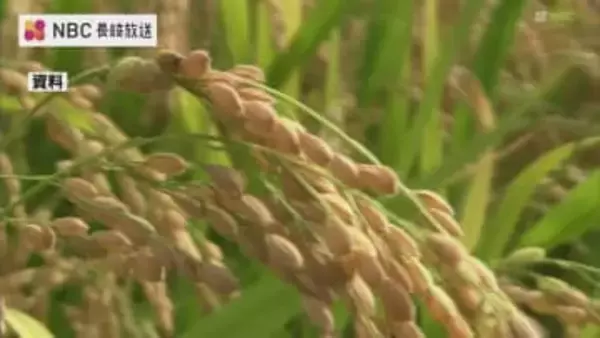 【県産米】9月予想から1700トン上乗せ 作況単収指数も「107」収穫量は前年を上回る見通し