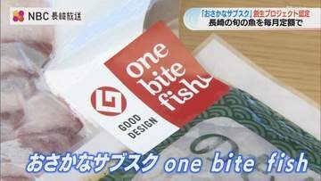 日本一の魚種を誇る長崎の旬の刺身が毎月届く「おさかなサブスク」が市の創生プロジェクトに認定
