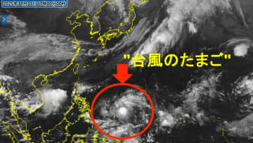 【台風情報】"台風のたまご"発生　24時間以内に台風へ　強い勢力に発達予想　予想進路は？