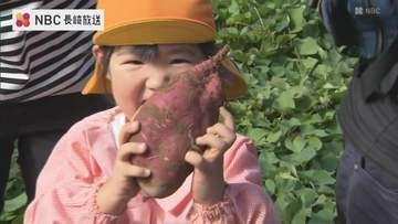 「重いよ～」園児がいも掘り体験　諫早市干拓の里