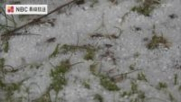 雲仙普賢岳でマイナス３、５度　長崎県内８地点で”今季最低気温”　長崎では ”初雪" 観測