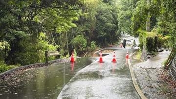 【大雨影響】道路がごっそり崩落、車線半分が崖下に…総雨量450ミリ超の長崎・佐世保市