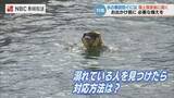 「水の事故から命を守るには？「離岸流に巻き込まれたら」「おぼれた人を見つけたら」海上保安部に聞く正しい対応」の画像1